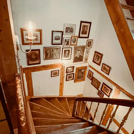 Cosy Oasis On Ruegen *